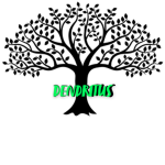 ❀House of Dendritus❀
