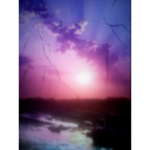 Purple sunset