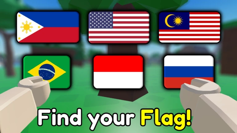 Find The Flags (350) 🌍