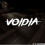 Voidia
