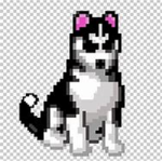 Husky_Gang