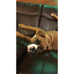 Bro!?!