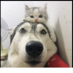 ### # # ##### ###