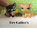 Calico Crew