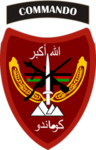 [ANA] 1st Company, 201st Commando Battalion
