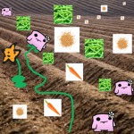 the cool bean farm