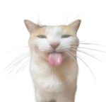 IK bones