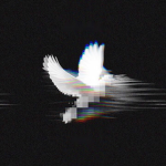 ‘Iced.’ ; #001