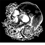 The Beauty Skulls