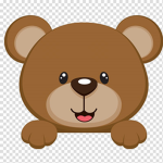 I am baby bear