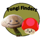 Fungi finders