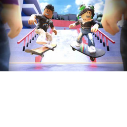 skate