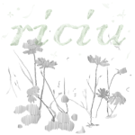 riciu