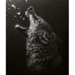 Wolf gang<3
