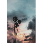 THETREESAREPIC