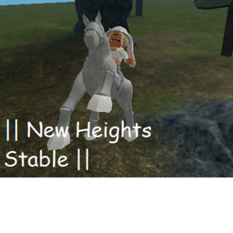 { - New Heights | Stable – }