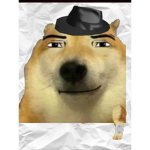 Bloxy boy