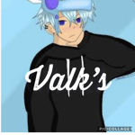 Valk's