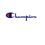 Champion ||| EST 2020
