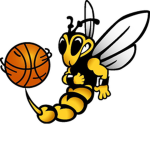 BBallBees
