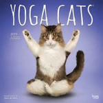 CAT YOGA