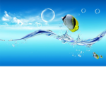 Fish Enthusiasts and Friends