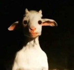 Blackhorn Dev