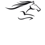 JJ & riding school