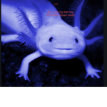 Axolotl cave