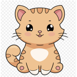 The cutest cat EVER!