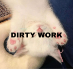 SOFTWARE 47