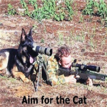 dog sniper Roblox decal