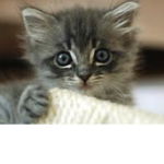Cute or fantastic girls for kids oo that looks go