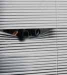 The local nosy neighbor