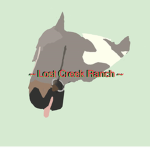 Forest Creek Ranch