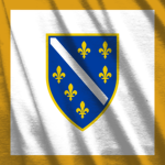 Bosnian Forces | YS