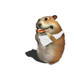 Eating Chomik