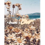 •Shami’s closet•