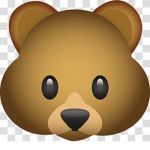FamilyBearsLive