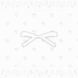 ୨ ♱ྀི ୧ ┈ ┈ ┈ ┈ ┈