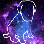 Puggy Inc.