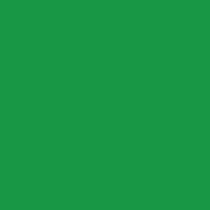 green Roblox decal