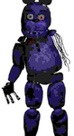 The Zonnie