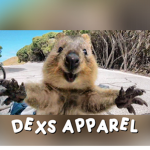 Dexs Apparel