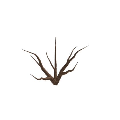 Bush