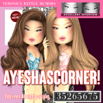 AyeshasCorner