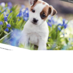 Cute club fo you and me