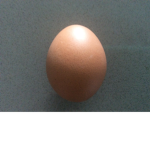 the egg united