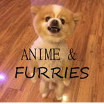 furries and anime group