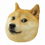 Doggy The Doge squad